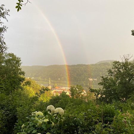 Villa Sonnenburg Bad Schandau Bagian luar foto