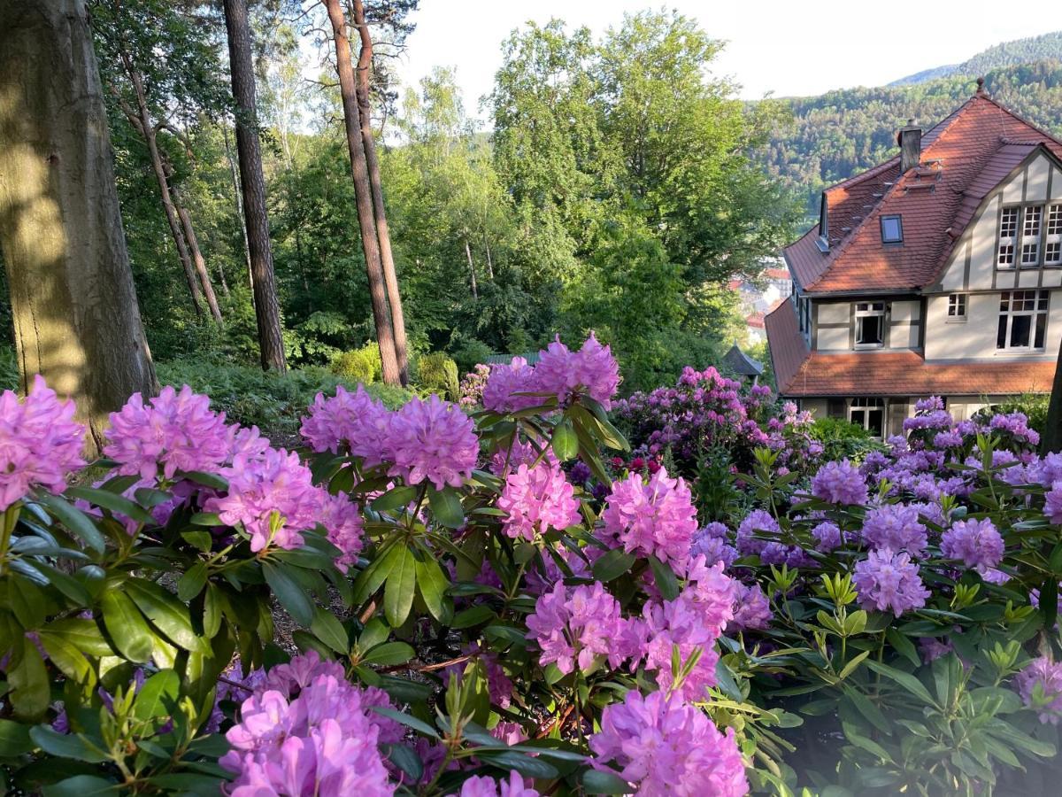 Villa Sonnenburg Bad Schandau Bagian luar foto